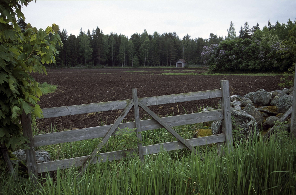 Landskapsvy med åkermark, Hållen 5:25, Hållen, Hållnäs socken, Uppland 2000