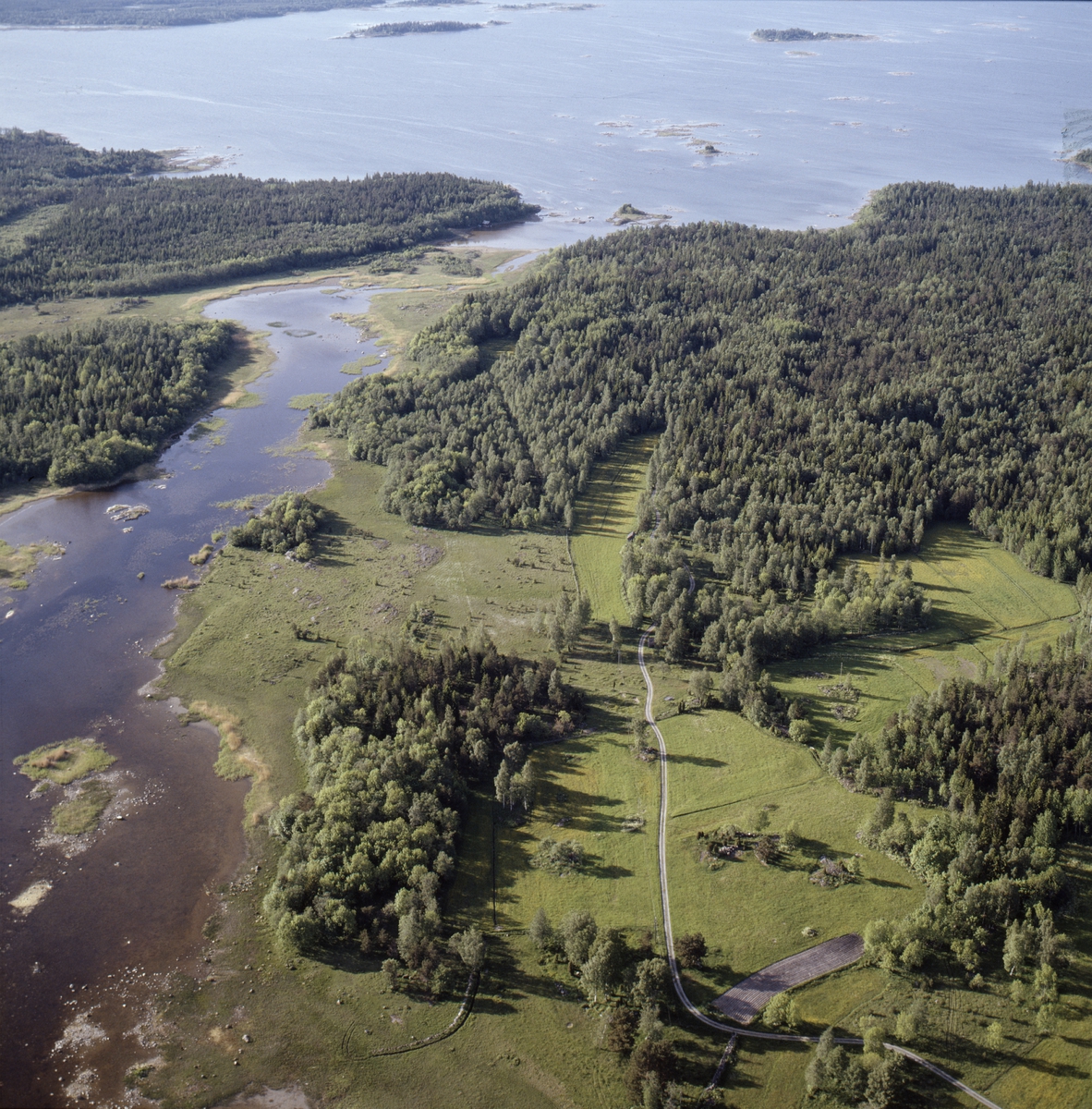 Sannolikt vy över Bondskäret naturreservat, Hållnäs socken, Uppland juni 1989