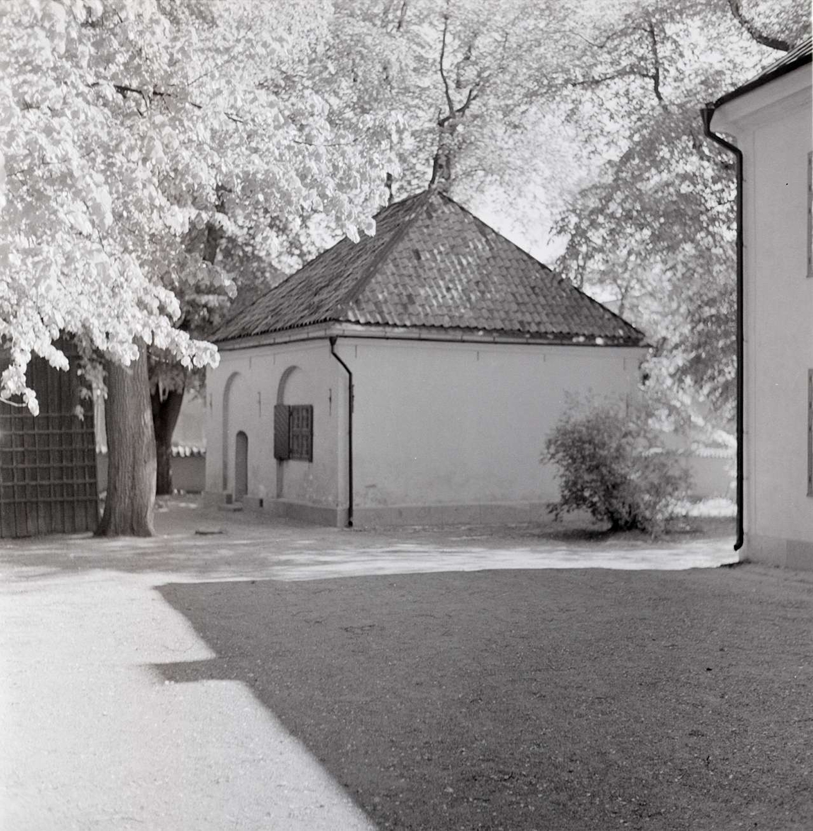 Schefferus bibliotek vid S:t Eriks torg, kvarteret Disa, Uppsala 1959