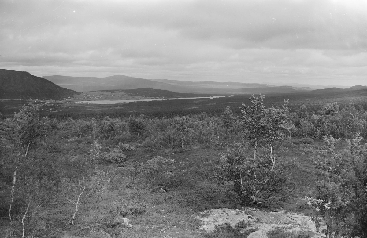 Konstnär Ragnar Johansson i fjällandskap, Härjedalen