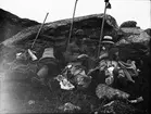 Sannolikt Josef Ärnström med vänner på vandring i fjällen, Kiruna, Lappland