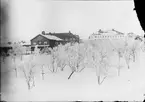 Vy över bland annat Centralskolan i Kiruna, Lappland