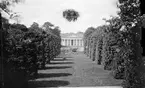 Botaniska trädgården, Kåbo, Uppsala, sannolikt 1860-tal