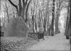 Uppsala gamla kyrkogård, Kåbo, Uppsala 1946