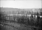 Studenternas Idrottsplats och Akademiska sjukhuset, Uppsala 1950