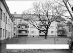 Flerfamiljshus, kvarteret Alfhild, Luthagen, Uppsala 1936