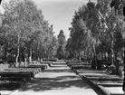 Uppsala gamla kyrkogård, Kungsgärdet, Uppsala 1950