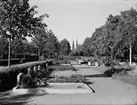 Uppsala gamla kyrkogård, Kungsgärdet, Uppsala 1950