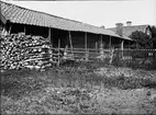 Gårdsmiljö hos Albrektssons, Skäve, Vaksala socken, Uppland sannolikt 1920-tal