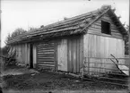 Fähus och foderbod - arrendator Erik Larsson, Hållen, Hållnäs socken, Uppland, sannolikt 1930-tal