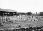 Gårdsmiljö - Ärnevi, Funbo socken, Uppland, sannolikt 1920-tal