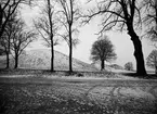 Gamla Uppsala högar, Gamla Uppsala 1935