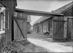 Plankport - Larsson, Rörby, Bälinge socken, Uppland 1920-tal