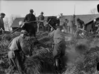 Brandsläckning, sannolikt vid Bälinge kyrka, Bälinge socken, Uppland, april 1941