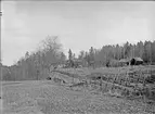 Loge - nu på friluftsmuseet Disagården - på ursprunglig plats, Gråmuren, Björklinge socken, Uppland