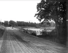 Väg i Harnäs, Älvkarleby socken, Uppland september 1926