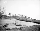 Tämnarån nära Torslunda gård, Tierps socken, Uppland i maj 1921