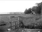 Strandäng vid Funbosjön, Funbo socken, Uppland i augusti 1929