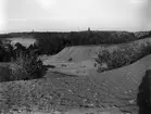 Strand vid Sandhamn, Stockhoms skärgård augusti 1927