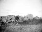 Flyttblock vid Tingstukällan, Bälinge socken, Uppland 1919