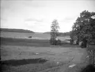 Strand vid Mälaren, Munkholmen, Eds socken, Uppland 1922