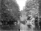 Örsundaån i Åstorpsdalen, vid Vilstena, Altuna socken, Uppland, juli 1929