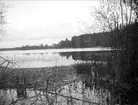 Gårsjön, nära Marielund, Funbo socken, Uppland juni 1923