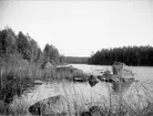 Långsjön, Almunge socken, Uppland september 1920
