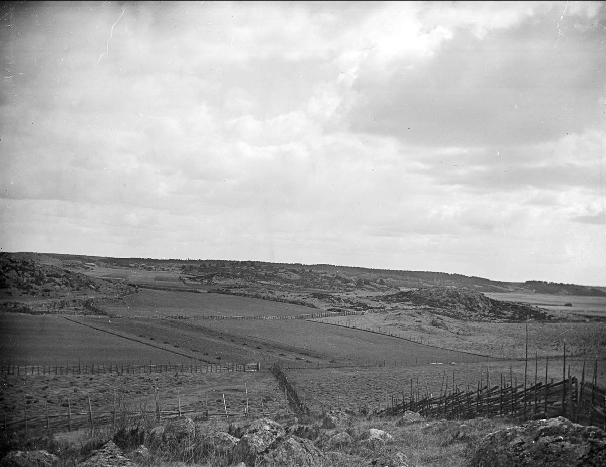 Landskapsvy, Hjälsta socken, Uppland 1915