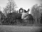 Bostadshus nära Strandsjön, Järlåsa socken, Uppland maj 1928