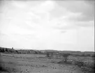 Landskapsvy med Gryta kyrka vid Lårstaviken, Gryta socken, Uppland 1927