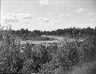 Tammsforsen, eventullt i Tammån, vid Untraverket, Söderfors socken, Uppland juni 1930