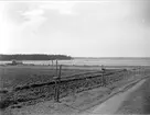 Åkermark nära Dalälven vid Marma, Älvkarleby socken, Uppland maj 1929