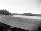 Lövsta hage vid sjön Trehörningen,  Funbo socken, Uppland augusti 1933