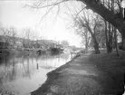 Hamnen i Uppsala från Stadsträdgården, år 1900