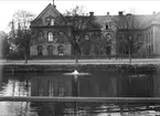 Svandammen och Anatomiska institutionen, Fjärdingen, Uppsala 1902