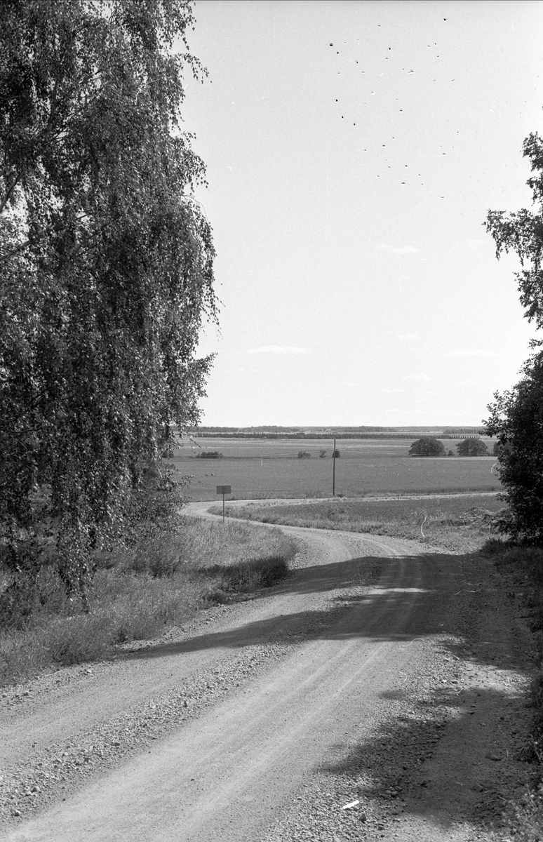 Vy över Ekeby 1:1, Börje socken, Uppland 1983