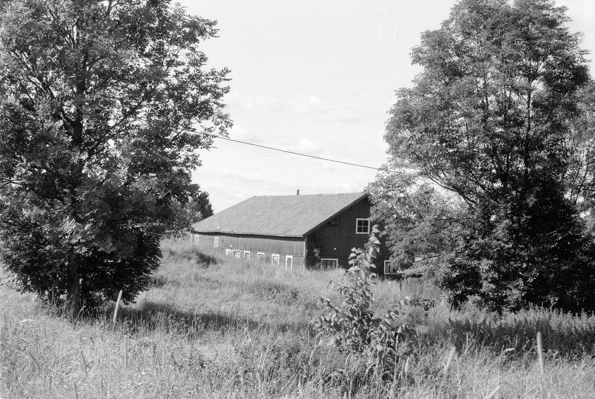 Ladugård, Norrgården, Gränsta, Knutby socken, Uppland 1987