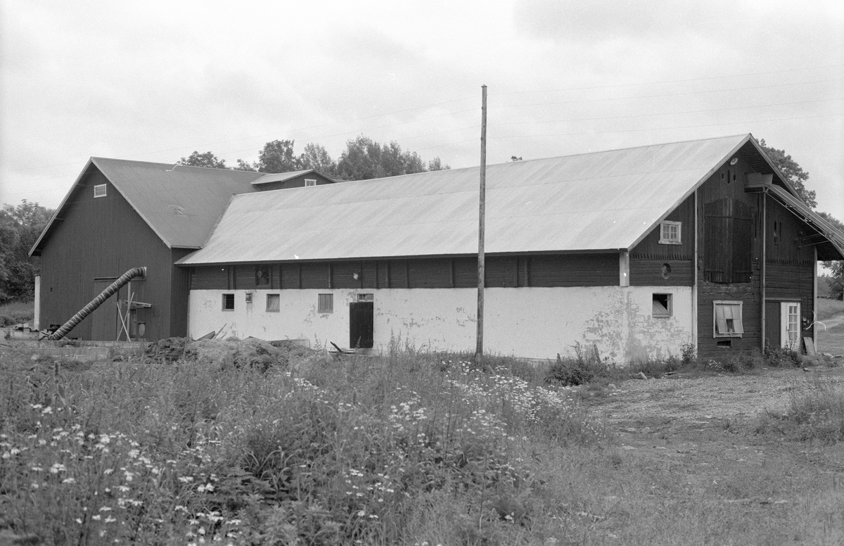 Ladugård, Söderby gård, Knutby-Söderby, Knutby socken, Uppland 1987