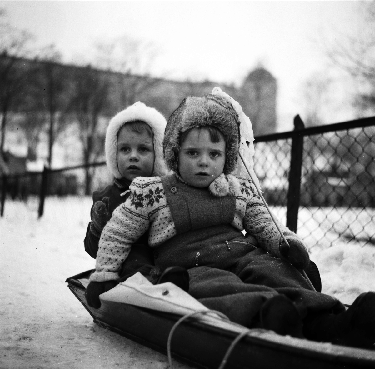 Svenska Brukshundklubbens Uppsalaavdelning har uppvisning vid Svandammen, Uppsala mars 1946