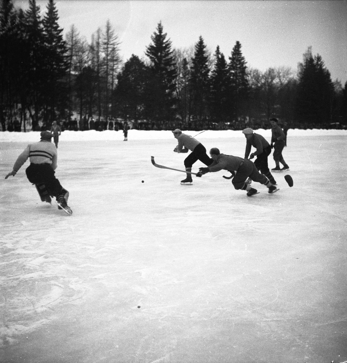 Bandy - IF Vesta - IFK Uppsala, Studenternas Idrottsplats, Uppsala