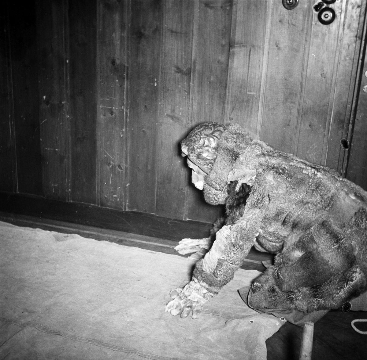 Byggnadsfirman Anders Diös AB har julfest, Uppsala janauri 1948