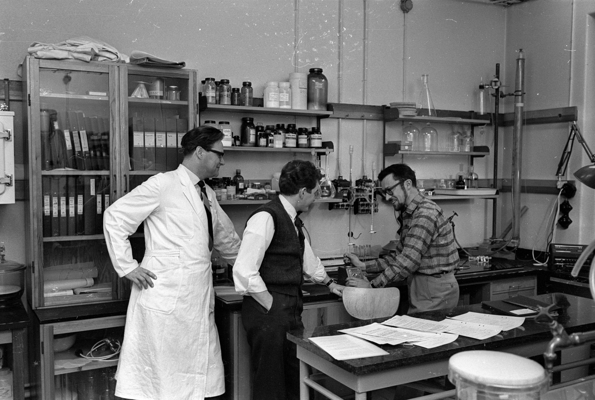 Biokemister har lyckats framställa "rent orm-nervgift", Biokemiska institutionen, Uppsala 1965