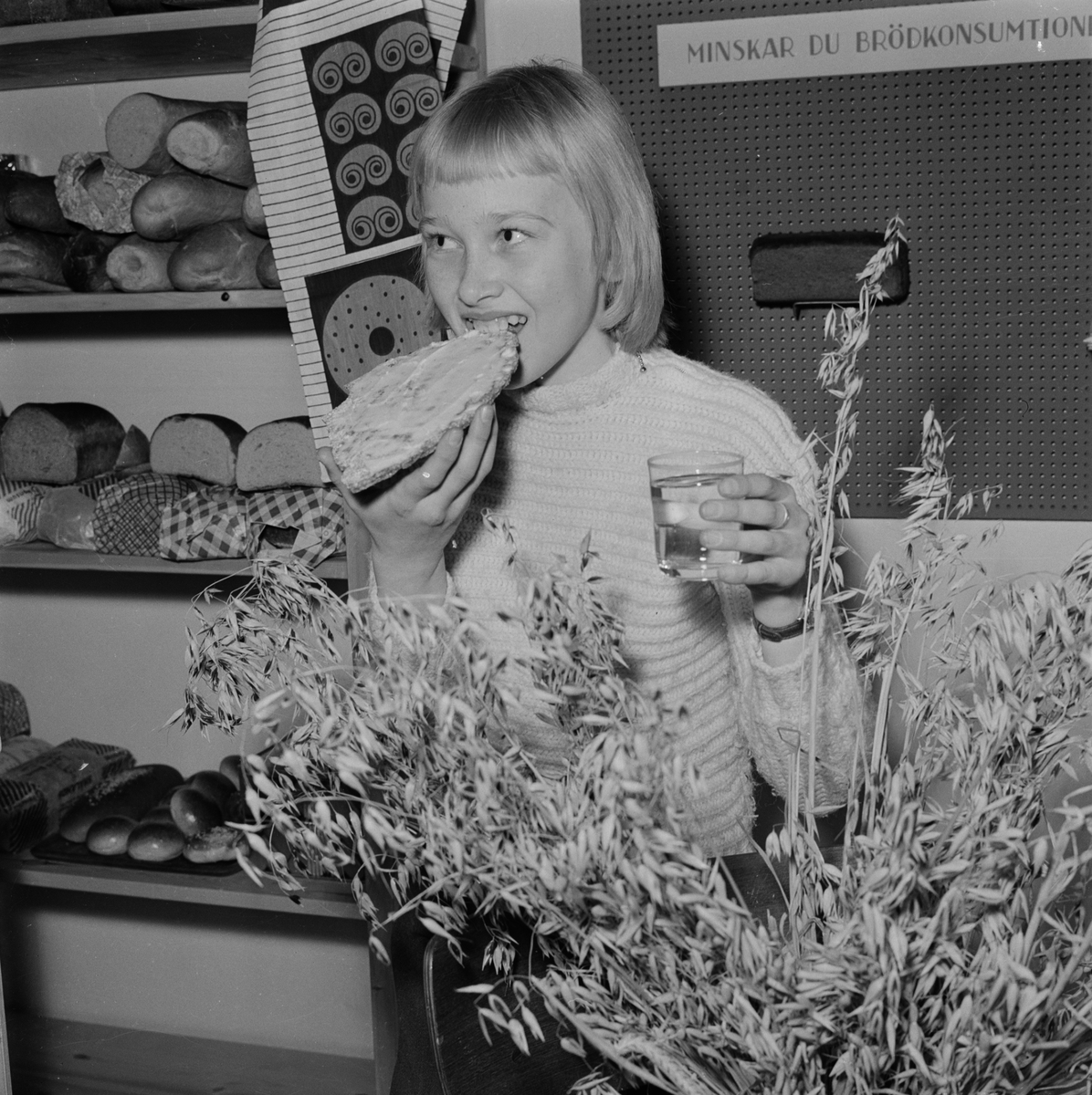 Landstinget, brödutställning på Diagonalen, Uppsala februari 1957