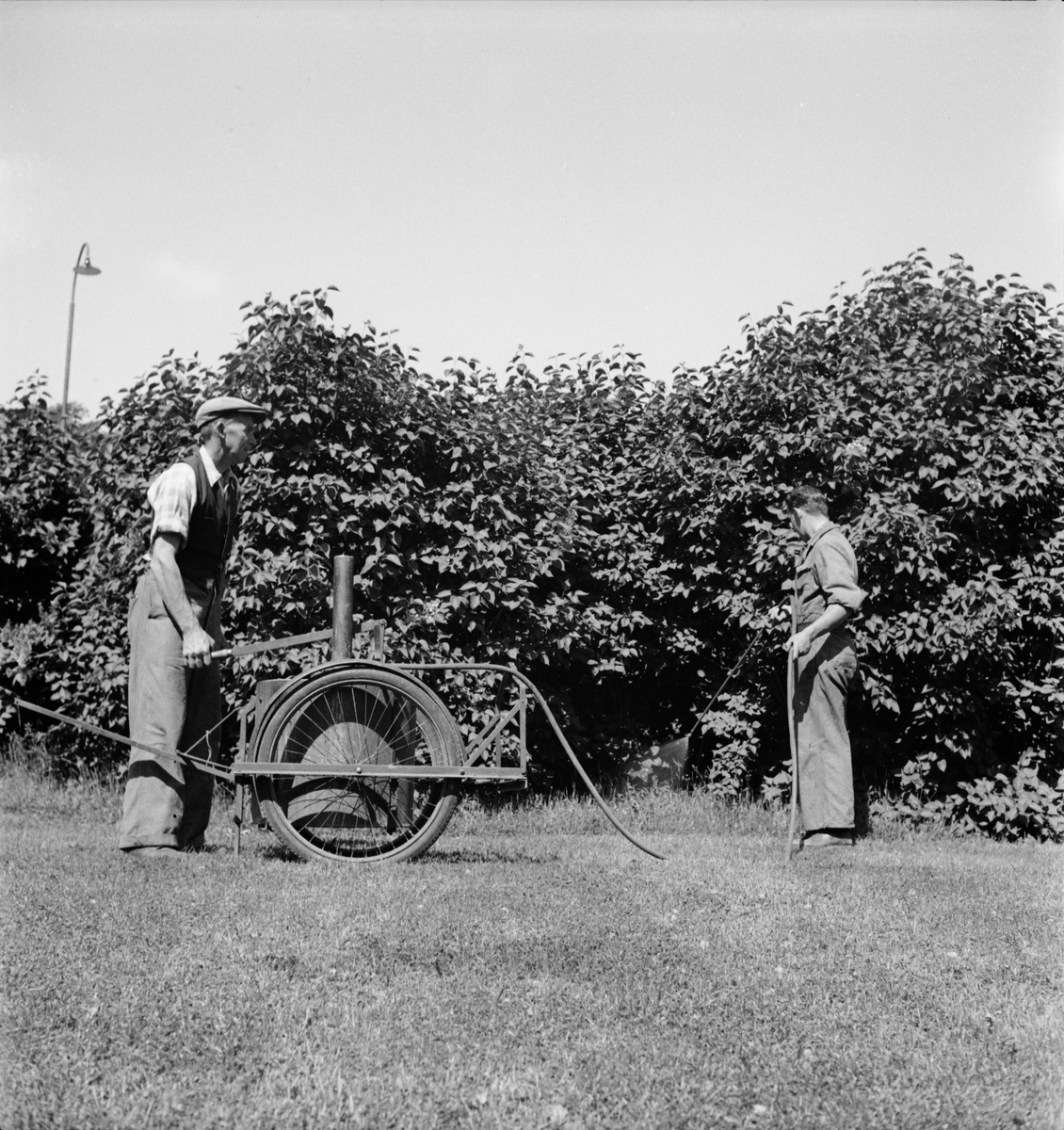 Trädgårdsmaskiner i Stadsträdgården, Uppsala 1949