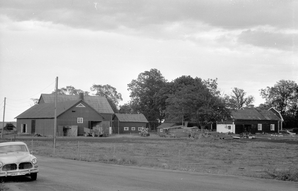 Mangårdsbyggnad