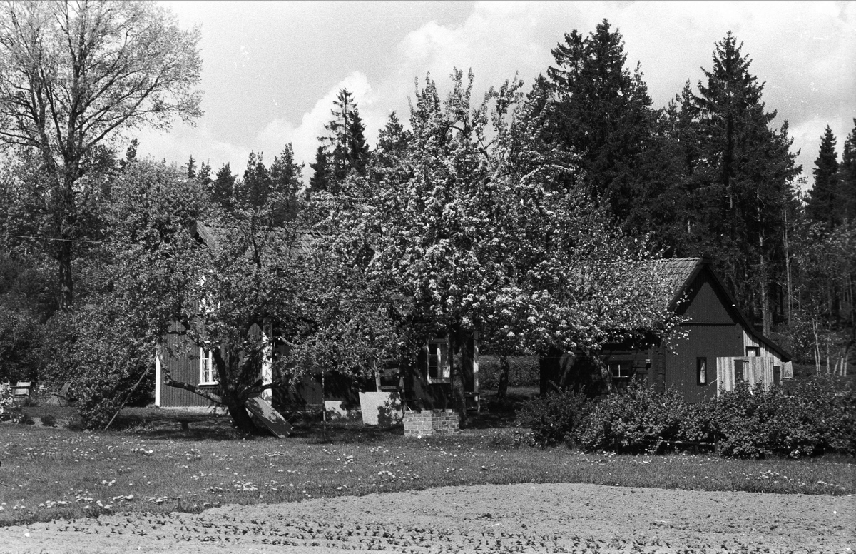 Enkelkammarstuga