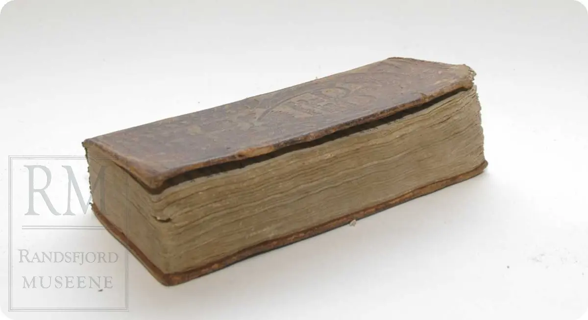 Salmeboken er rikt dekorert på omslaget, preget på læret. Hjerte med salmevers, fakkel, blomsterranke, vinger: alle religiøse symboler.