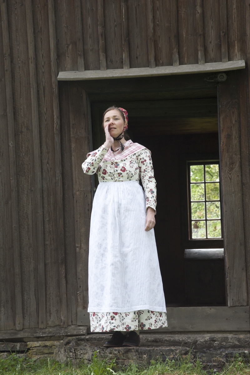 Åpning av folkemuseet, Ødegården, Hedmarksmuseet. 2010. 