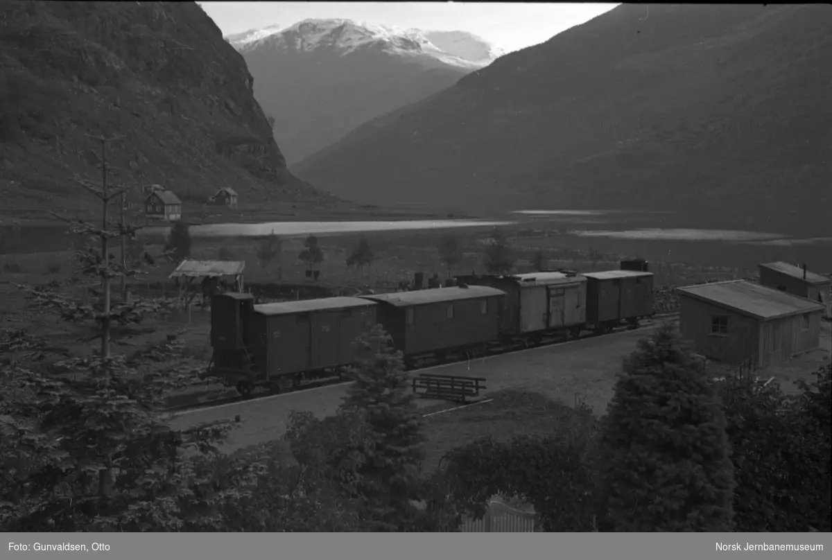 Flåm stasjon med godsvogner